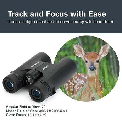 Celestron – Outland X 8x42 – Waterproof & Fogproof – for Adults – Multi-Coated Optics and BaK-4 Prisms – Protective Rubber Armoring