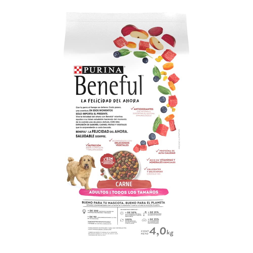 Purina Beneful Sunrise 7501072203595 Comida para Perros Adulto, 4 kg