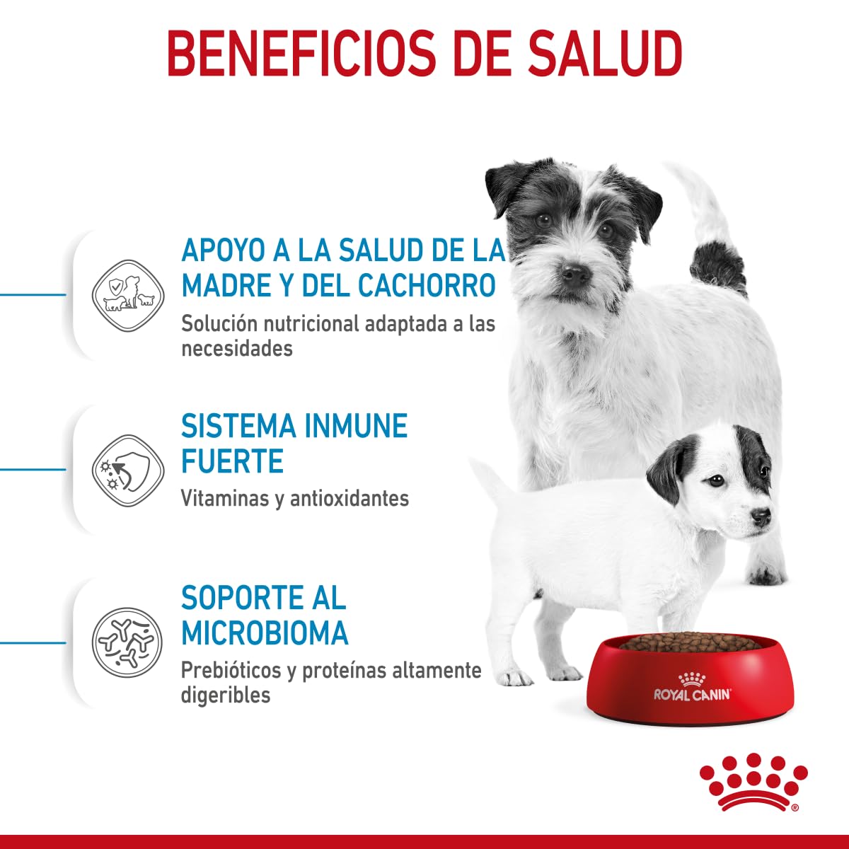 ROYAL CANIN - Croquetas para Cachorro, Starter Puppy 6.36 Kg
