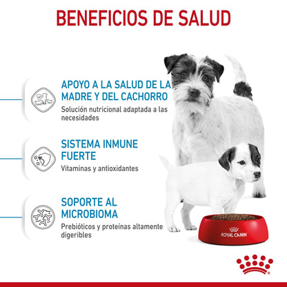 ROYAL CANIN - Croquetas para Cachorro, Starter Puppy 6.36 Kg