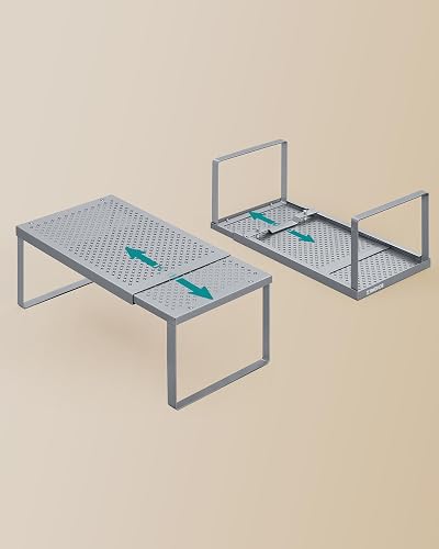 SONGMICS Juego de 2 Especieros, Extensibles, Organizador de Cocina, Estante de Cocina, Organizador de Armario, Metal, Plateado MKCS402FG01