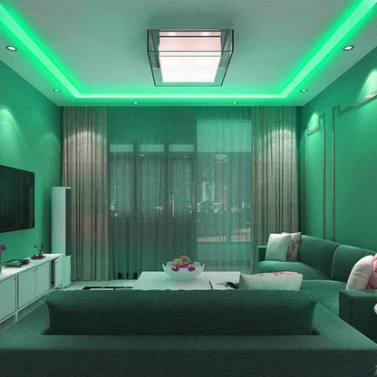 DOSYU Tira Neón Flex LED, 12V 16.4ft/5m Impermeable Flexible Cortable DIY 2835 Luces Led IP65 Decorativa para TV, Cuarto, Halloween, Fiesta de Navidad, con Adaptador(Verde)