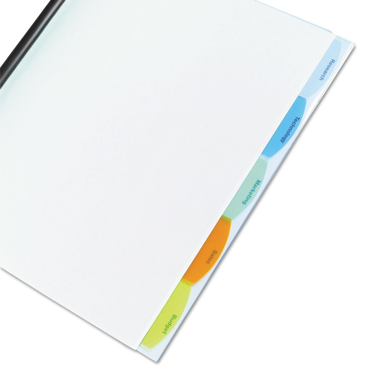 Wilson Jones W55766D - Cubierta para reporte de tablas de vista (5 pestañas, 20 hojas), transparente