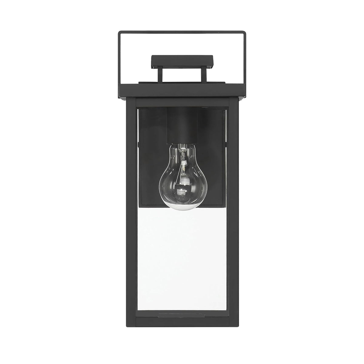 Hunter Fan, Colgante de pared Timbergrove Negro Mate para Exterior 1 Luz, 14 pulgadas