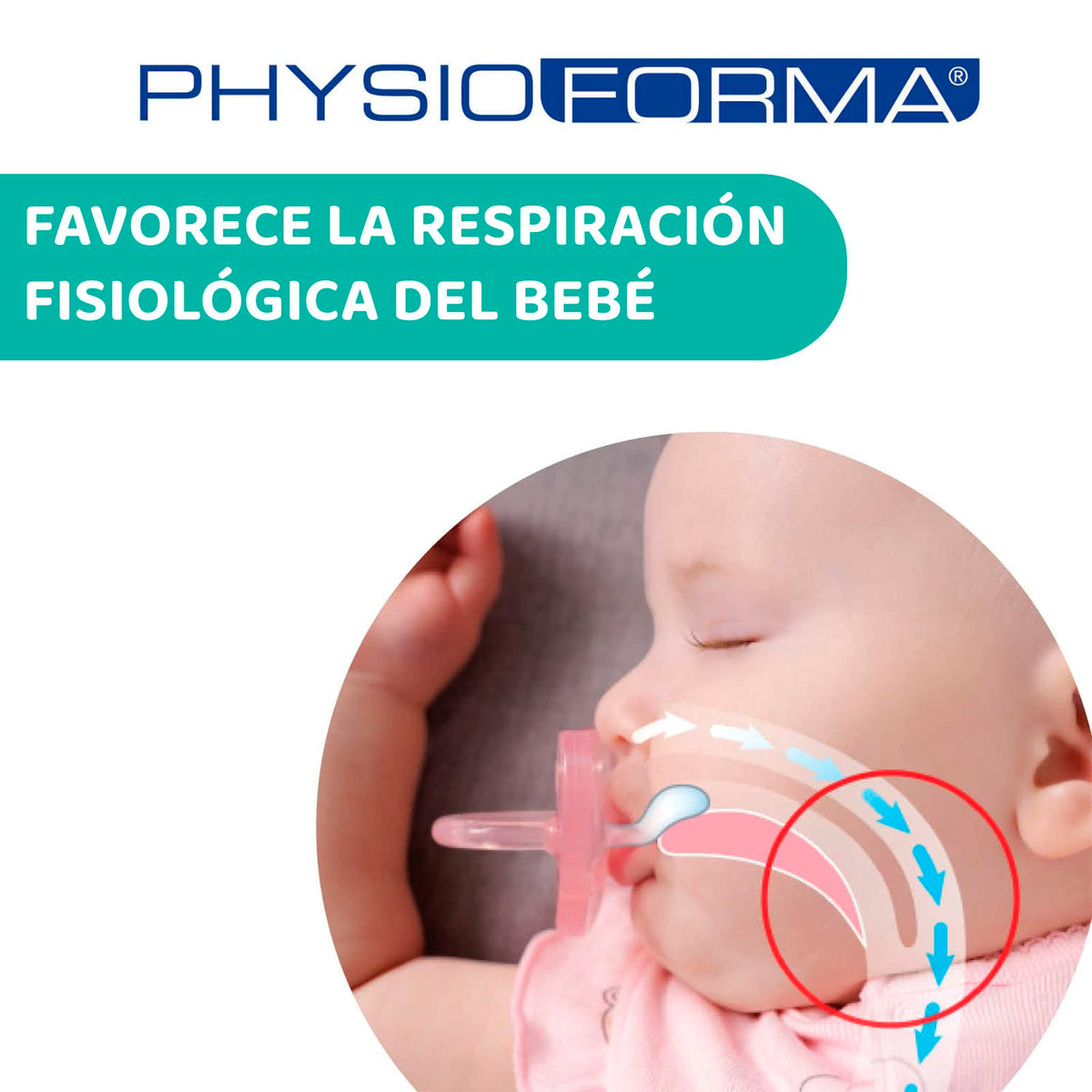 CHICCO, Set de Chupón para Bebé PhysioForma Comfort, 6 a 16 meses, Color Rosa