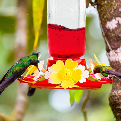 Redkite Bebedero de Vidrio Prisma para Colibrí 600 ml – Fácil de Colgar, Transparente y Resistente, Ideal para Jardín y Decoración del Hogar