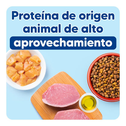 Apawpacho Alimento para Perros Adultos Razas Medianas y Grandes, 4 kg.