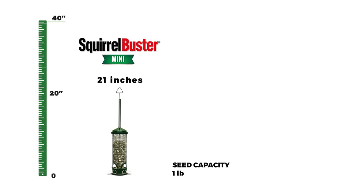 Squirrel Buster Mini 4.4"x4.4"x21" (w/hanger) Wild Bird Feeder with 4 Metal Perches, 1.3lb Seed Capacity