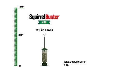 Squirrel Buster Mini 4.4"x4.4"x21" (w/hanger) Wild Bird Feeder with 4 Metal Perches, 1.3lb Seed Capacity