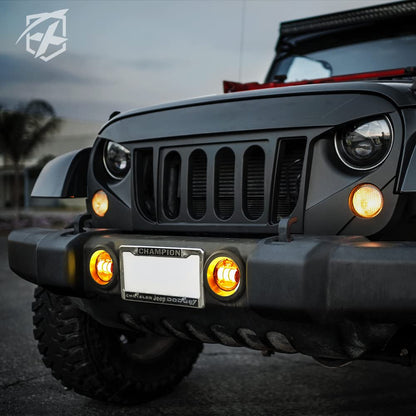 fl-r4in-60 W-1variation, Fog Light - Amber