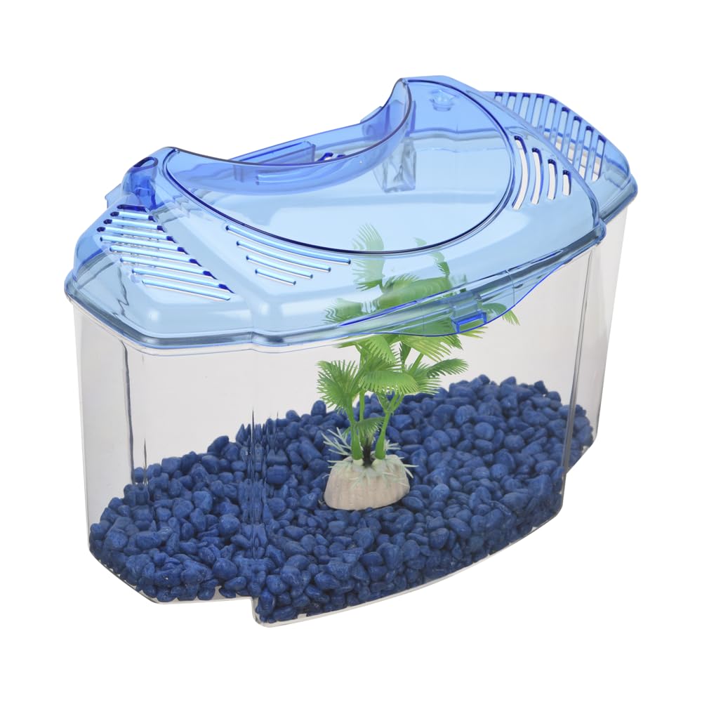 Lomas Kit Betera Azul 1.8 L para Peces, con Grava y Planta Decorativa