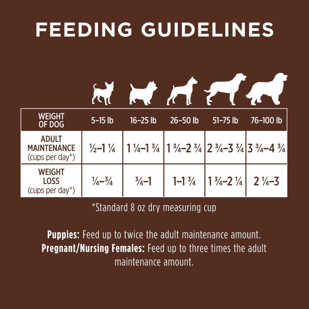 Instinct Be Natural Alimento para Perro, Receta de Salmón 10.8kg
