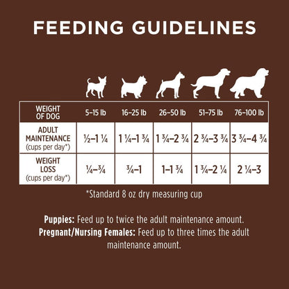 Instinct Be Natural Alimento para Perro, Receta de Salmón 10.8kg