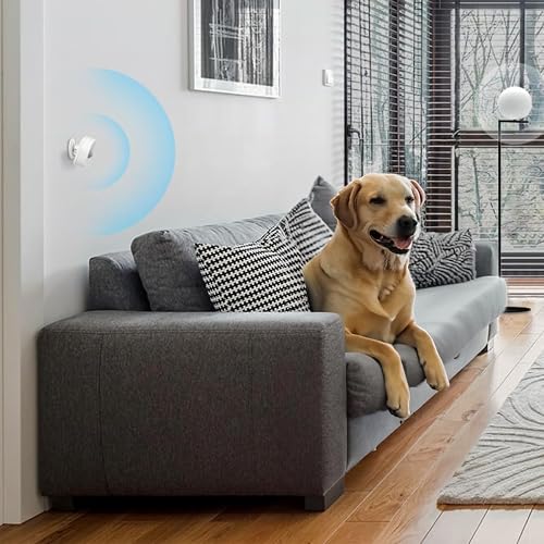 TP-Link Tapo Motion Sensor, Requires Hub, Long Battery Life w/Sub-1G Low-Power Wireless Protocol, Wide Range Detection, Adjustable Sensitivity, Real-Time Notification, Smart Action (Tapo T100)