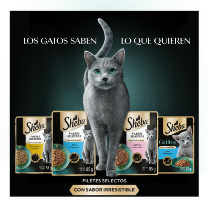 Sheba - Alimento Húmedo para Gato Adulto, Sabor Filetes De Salmón Marinado 85g c/u. Paquete de 24 Unidades, Sin Colorantes ni Sabores Artificiales