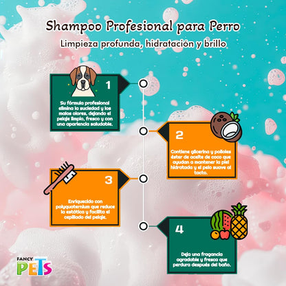 Fancy Pets Shampoo Profesional para Perro con Aroma Frutal, 10 L