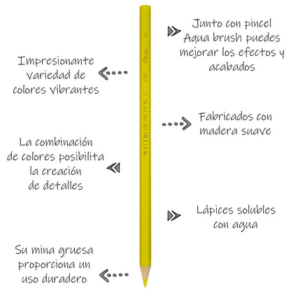 Pentel Arts Lápices de Colores Acuarelables, Mina Gruesa, Estuche con 36 Piezas, CB9-36-EST