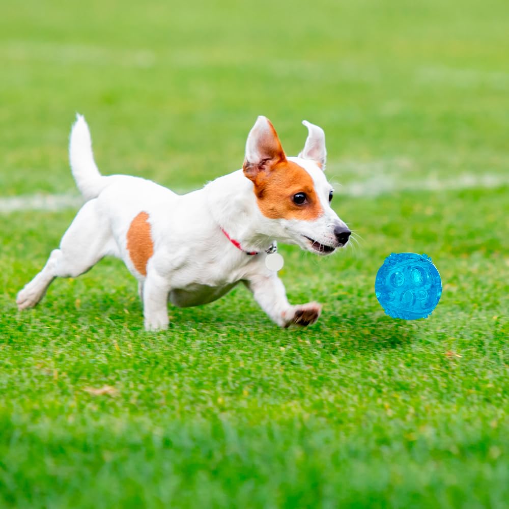 Fancy Pets Juguete Pelota Flexible para Perros GDE con Sonido Squeaker para Morder y Jugar (Paquete de 2)