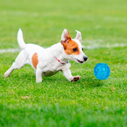 Fancy Pets Juguete Pelota Flexible para Perros GDE con Sonido Squeaker para Morder y Jugar (Paquete de 2)