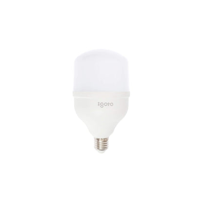 iGoto F10P-10109 Pack de 10 Focos Led A60, 9W Luz Fría + F10520 Foco led T80, 20W, Luz Fría