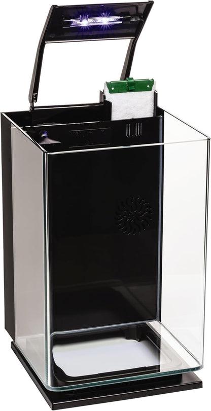 GloFish Aquarium Kit 5 gallon, Includes Hinged Cycle Light & Hidden filtration