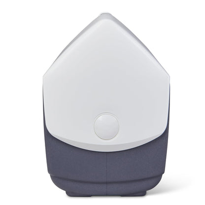 Igloo Classic Playmate Coolers