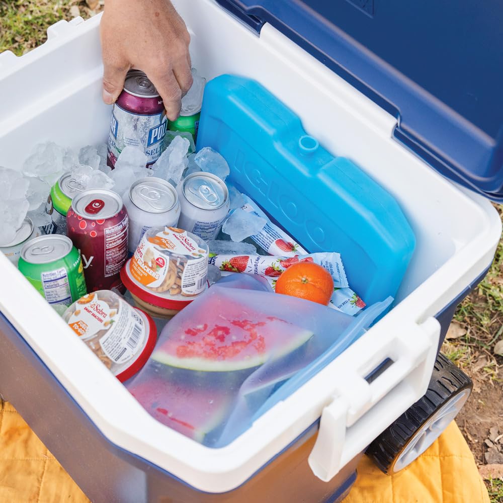 Igloo Maxcold - Bloque de Hielo