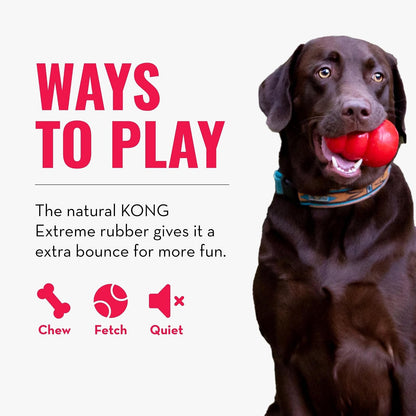 Kong Extreme Ball Pelota para Perro, color Negro, Mediano/Grande