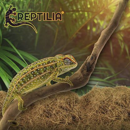 Lomas Reptilia Sustrato de Coco para Reptiles y Anfibios 50% Fibra 50% Polvillo Alta Retención de Humedad 8 litros