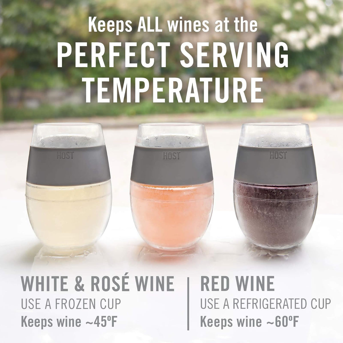 HOST - Juego de 4 vasos de refrigeración de plástico con aislamiento de doble pared congelable con gel congelador, copas de vino para vino tinto y blanco, 8.5 onzas, varios colores translúcidos