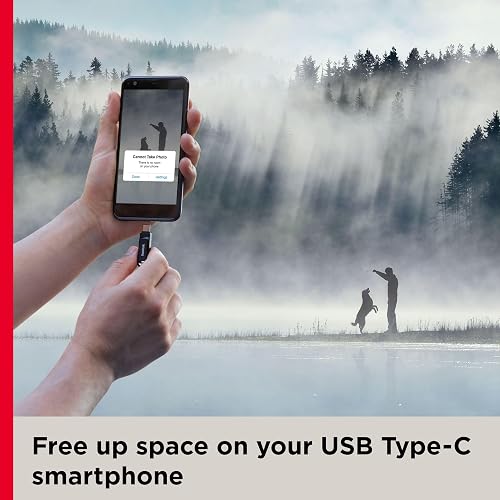SanDisk Unidad Flash USB Tipo C de 256 GB, Color Negro, SDDDC3-256G-G46