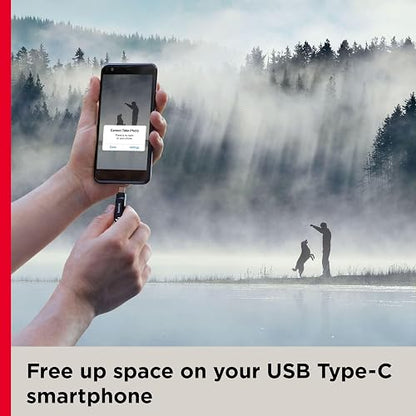 SanDisk Unidad Flash USB Tipo C de 256 GB, Color Negro, SDDDC3-256G-G46