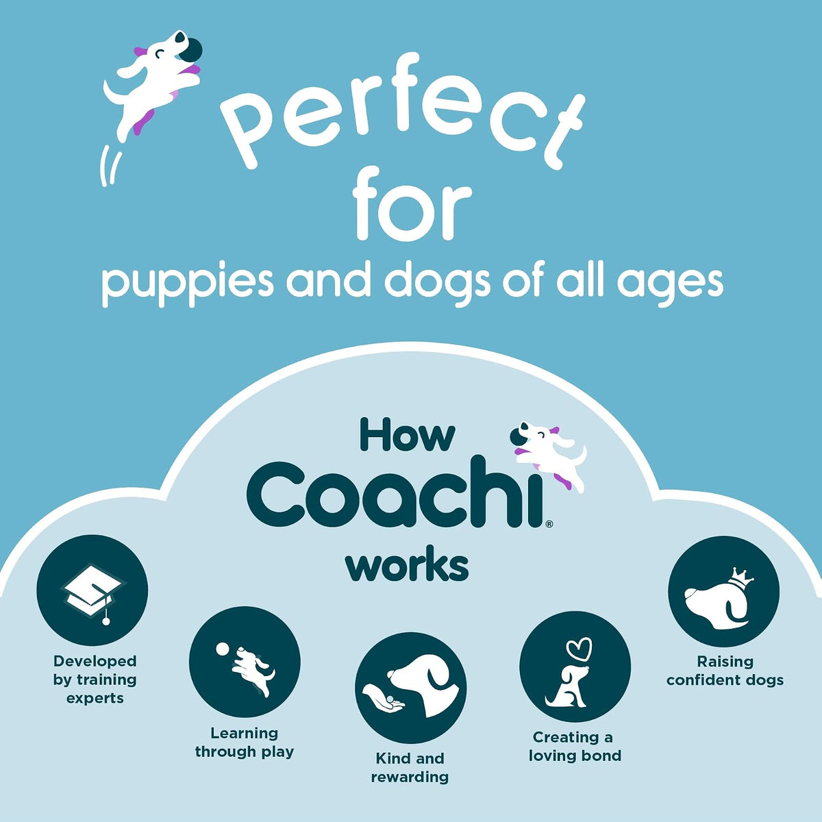 The Company of Animals Coachi Chase & Treat | Para perros y cachorros, todas edades y razas, juguete con golosinas, estimulación mental, entrenamiento a distancia
