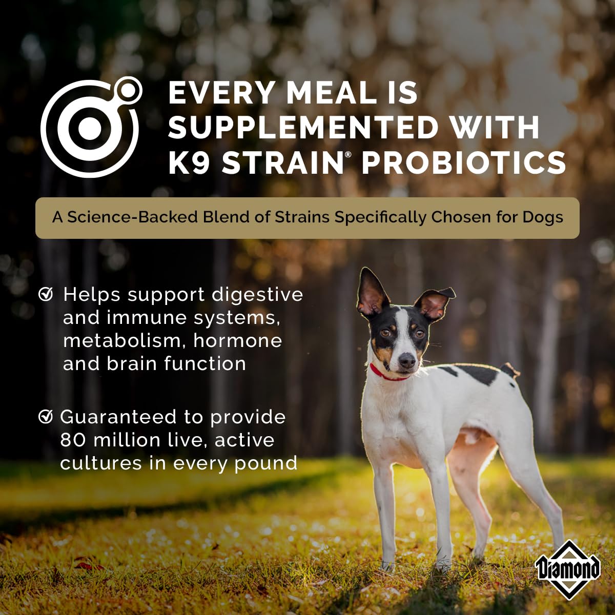 Diamond Premium Alimento para Perro Adulto Activo | Fórmula para perros adultos activos, alta proteína y energía, nutrición completa y