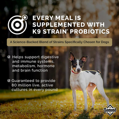 Diamond Premium Alimento para Perro Adulto Activo | Fórmula para perros adultos activos, alta proteína y energía, nutrición completa y