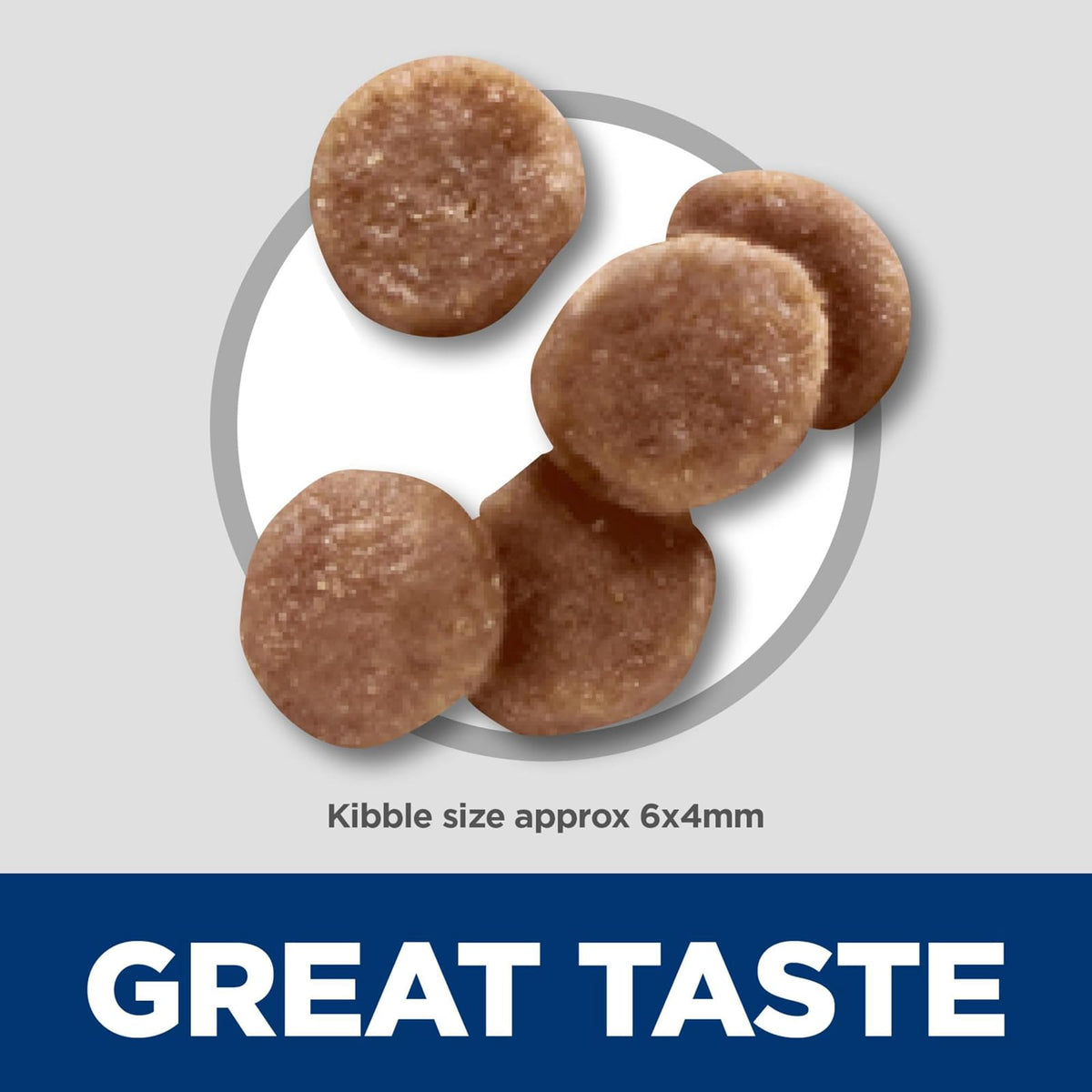 Hill's Science Diet Croquetas para Gatito Sabor Pollo 1.6Kg | Croquetas Hill's para gato, pollo real, crecimiento sano, desarrollo cerebral con DHA, soporte inmunológico