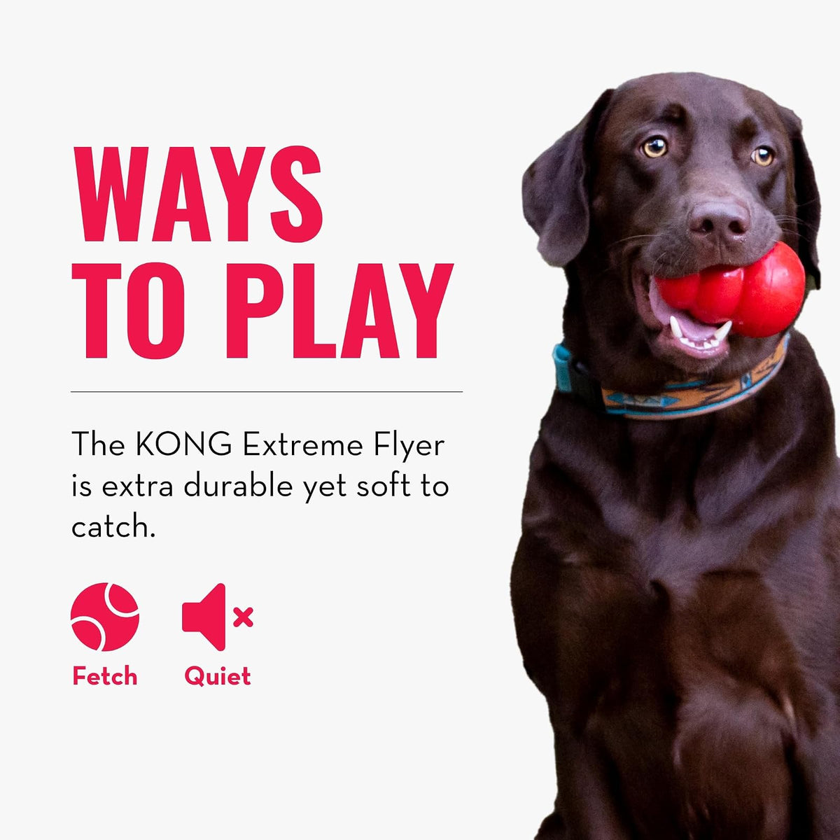 Kong Extreme Flyer Disco de Goma para Perro, Grande, Negro