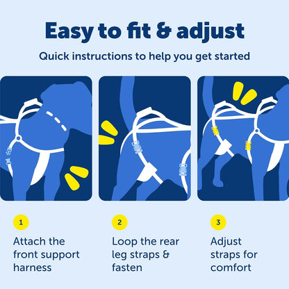 PetSafe CareLift Support Harness - Full Body Dog Lift Harness with Handle & Shoulder Sling - Great for Elderly Dogs, Hip Dysplasia, ACL Surgery - Designed to Help Them Up - Adjustable - Large