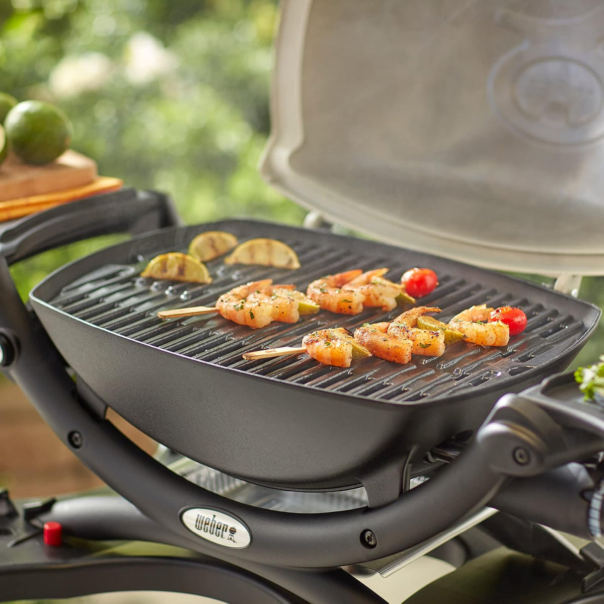 Weber 7644 Porcelain-Enameled Cast-Iron Cooking Grates