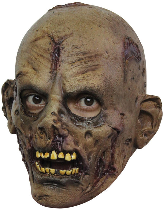 Máscara para Niño de Zombie Muerto Viviente, Máscaras para Niños de Zombi Talla Pequeña Ideal para Halloween y Fiestas de Disfraces