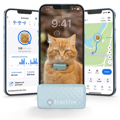Tractive - Rastreador GPS y monitoreo de Salud para Gatos (6 Libras +) - Rastreador de ubicación GPS para Mascotas líder en el Mercado | Alertas de Bienestar y Escape, Impermeable, Funciona con