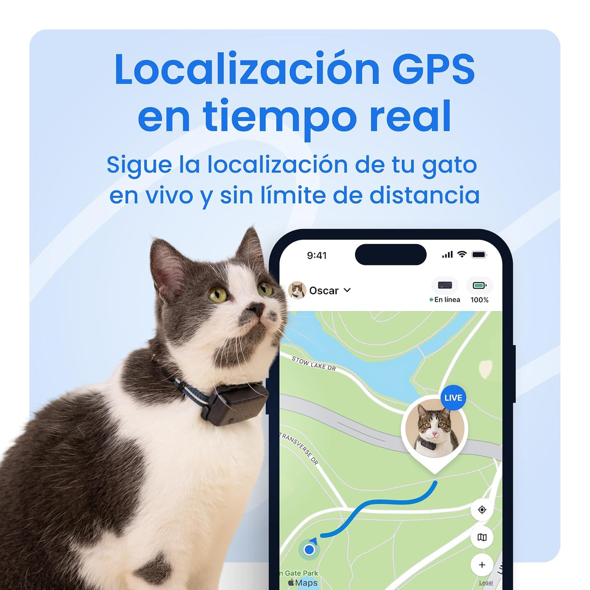 Tractive - Rastreador GPS y monitoreo de Salud para Gatos (6 Libras +) - Rastreador de ubicación GPS para Mascotas líder en el Mercado | Alertas de Bienestar y Escape, Impermeable, Funciona con