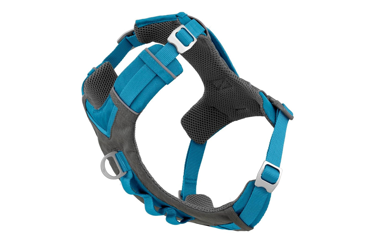 Kurgo Dog Harness for Medium, & Small Active Dogs | Pet Hiking Harness for Running & Walking | Everyday Harnesses for Pets | Reflective | Journey Air | Blue/Grey 2018 | Large