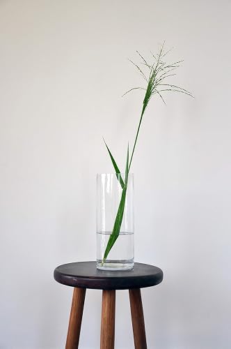 WGV - Jarrón cilíndrico Grueso de Calidad, diámetro 5 Pulgadas, Altura 12 Pulgadas, contenedor Floral de Vidrio Transparente, arreglo de Centro Alto para decoración del hogar de Boda, 1 Pieza