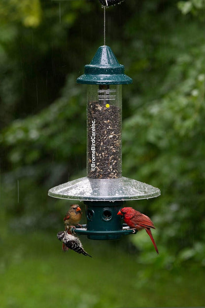 Brome Protector contra la Intemperie para comedero de pájaros Squirrel Buster Plus (Diente no Incluido)