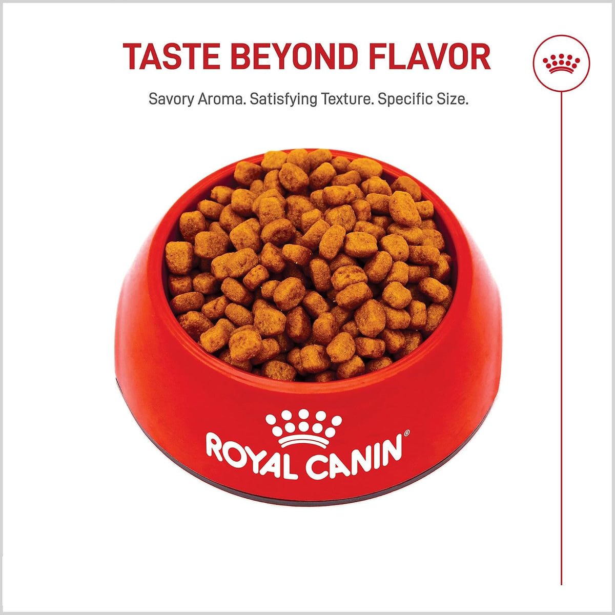 ROYAL CANIN Alimento Seco para Perro Adulto Raza Yorkshire Terrier, 4.5 kg