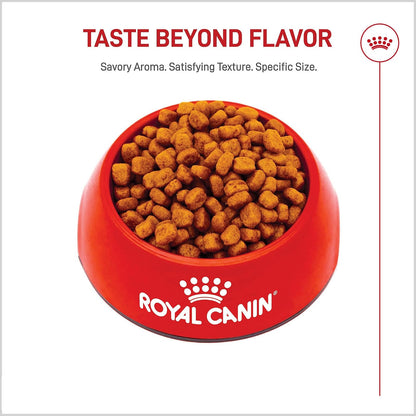 ROYAL CANIN Alimento Seco para Perro Adulto Raza Yorkshire Terrier, 4.5 kg