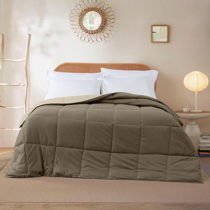 Amrapur Overseas 2dwncmfg Plumón de Ganso Alternativa Microfibra Acolchado Reversible Colcha