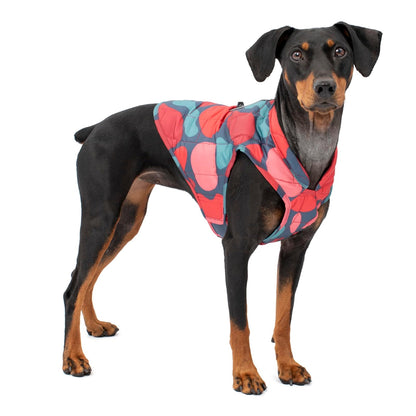 Kurgo Loft - Chaqueta para Perro, Abrigo de Invierno Reversible para Perros, Reflectante, Uso con arnés, Resistente al Agua, para Mascotas pequeñas, Medianas y Grandes (lámpara de Lava, XL)