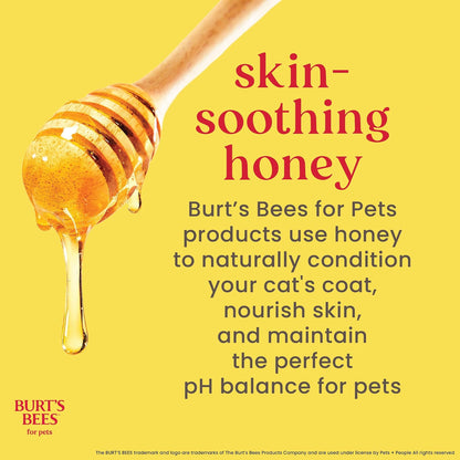 Burt's Bees for Kittens Champú Sin Lágrimas SC04472 | 10 oz, 1 paquete, con suero de leche, sin fragancia